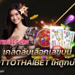 เคล็ดลับเลือกเลขบน LOTTOTHAIBET ให้ถูกบ่อย